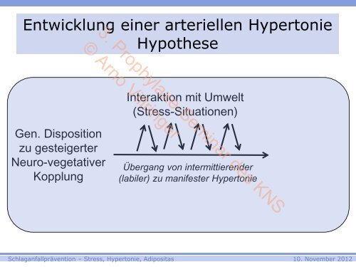 3. Prophylaxe-Seminar des KNS © Arno Villringer - Kompetenznetz ...