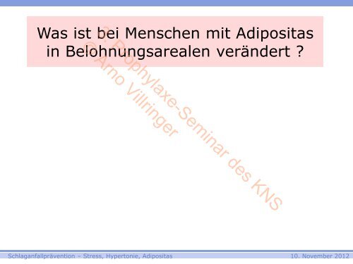 3. Prophylaxe-Seminar des KNS © Arno Villringer - Kompetenznetz ...