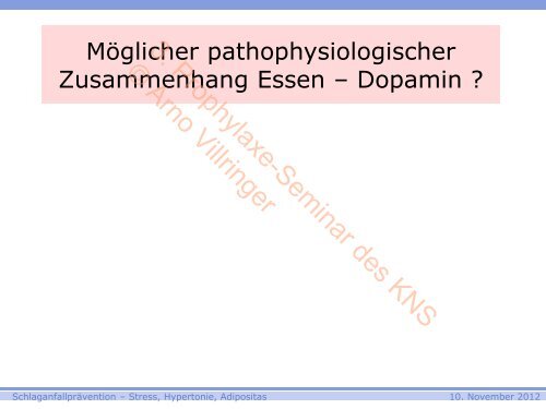 3. Prophylaxe-Seminar des KNS © Arno Villringer - Kompetenznetz ...