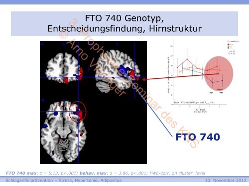 3. Prophylaxe-Seminar des KNS © Arno Villringer - Kompetenznetz ...