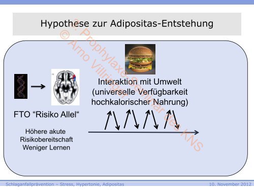 3. Prophylaxe-Seminar des KNS © Arno Villringer - Kompetenznetz ...