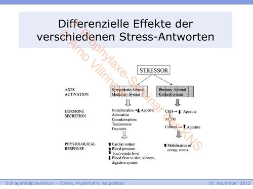 3. Prophylaxe-Seminar des KNS © Arno Villringer - Kompetenznetz ...