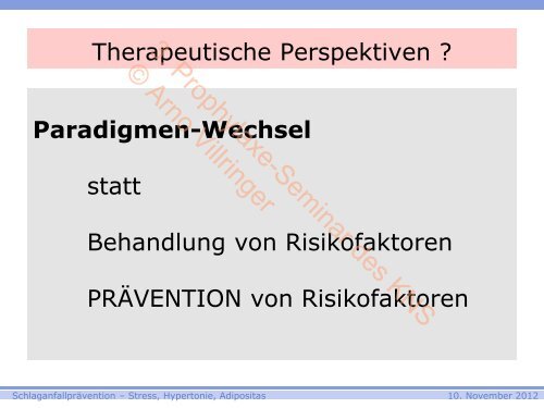 3. Prophylaxe-Seminar des KNS © Arno Villringer - Kompetenznetz ...