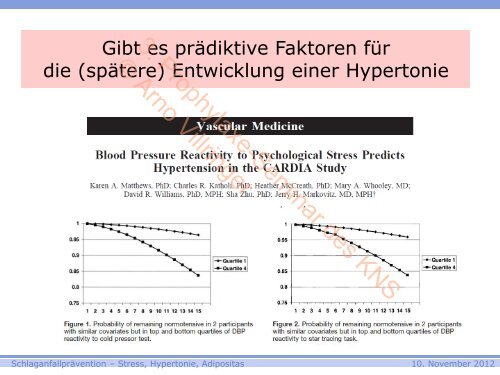 3. Prophylaxe-Seminar des KNS © Arno Villringer - Kompetenznetz ...