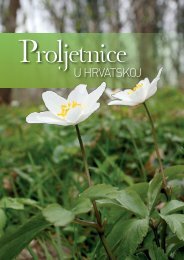 Proljetnice u Hrvatskoj brošura - Državni zavod za zaštitu prirode