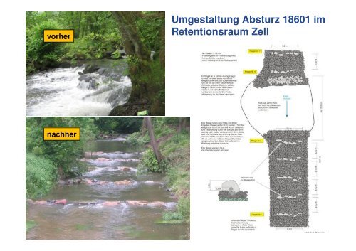 Umgesetzte Maßnahmen in der Mümling und Renaturierung einer ...