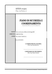 PIANO DI SICUREZZA E COORDINAMENTO - APES Pisa