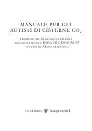 Manuale per gli Autisti di Cisterne CO2.pdf