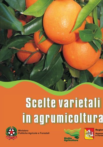 Scelte varietali in agrumicoltura - Portale dell'innovazione - Regione ...