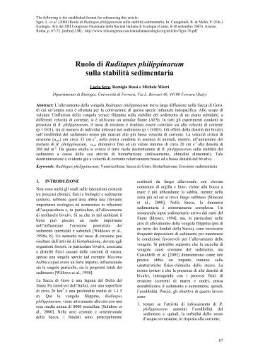 Ruolo di Ruditapes philippinarum sulla stabilità sedimentaria