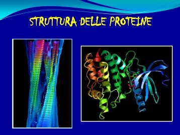 6° Lezione - Struttura delle proteine - Scuola1024