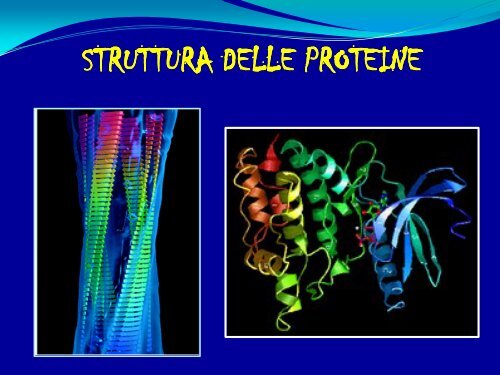 6° Lezione - Struttura delle proteine - Scuola1024