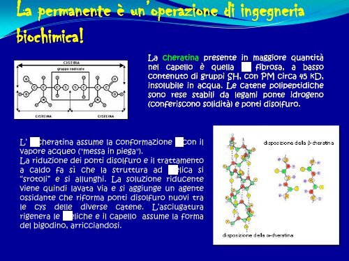 6° Lezione - Struttura delle proteine - Scuola1024