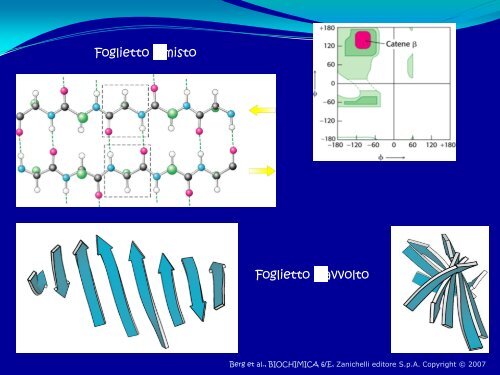 6° Lezione - Struttura delle proteine - Scuola1024