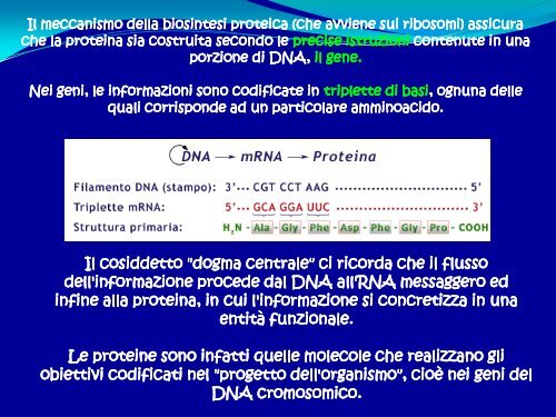 6° Lezione - Struttura delle proteine - Scuola1024