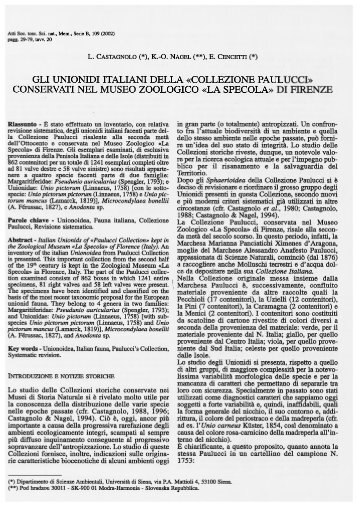 Apri pdf - Società Toscana di Scienze Naturali