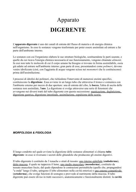 Apparato Digerente Scarica Il File Pdf Skuola It