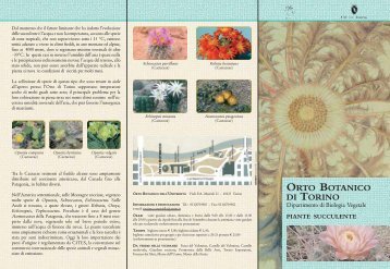 Piante Succulente - Università degli Studi di Torino