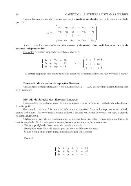 Cap´ıtulo 1 Matrizes e Sistemas Lineares