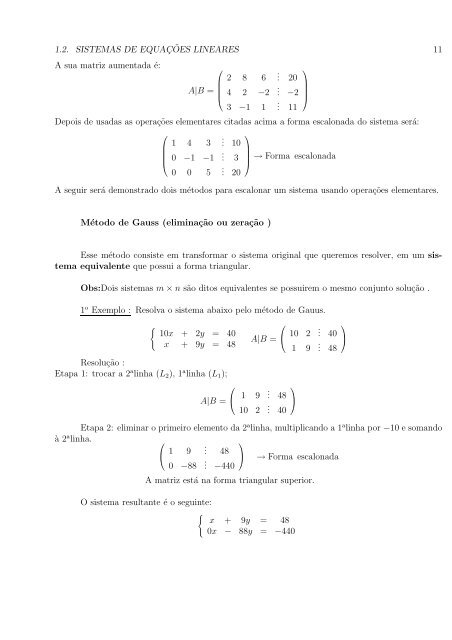 Cap´ıtulo 1 Matrizes e Sistemas Lineares