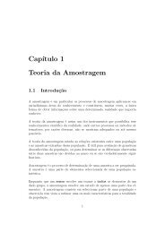 Cap´ıtulo 1 Teoria da Amostragem