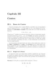 Cap´ıtulo III Conteo