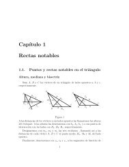 Cap´ıtulo 1 Rectas notables