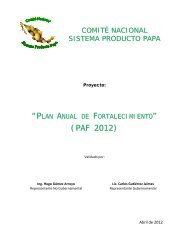 COMIT NACIONAL SISTEMA PRODUCTO PAPA - la Conpapa