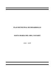 plan municipal de desarrollo santa maria del oro, nayarit