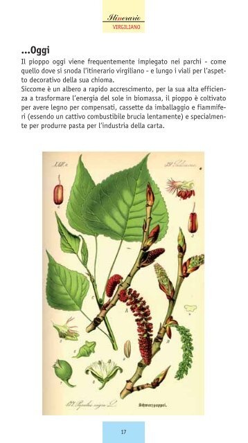 AA.VV. Itinerario Virgiliano - Ecomuseo e Agenda 21 Parabiago