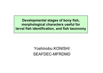 Yoshinobu KONISHI SEAFDEC-MFRDMD