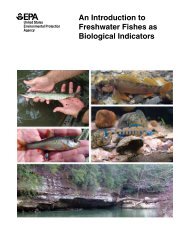 Freshwater Fish as Biological Indicators