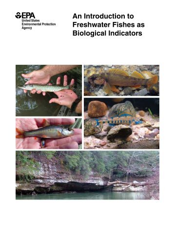 Freshwater Fish as Biological Indicators