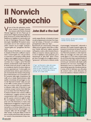 Il Norwich allo specchio - Ctncfpl.it