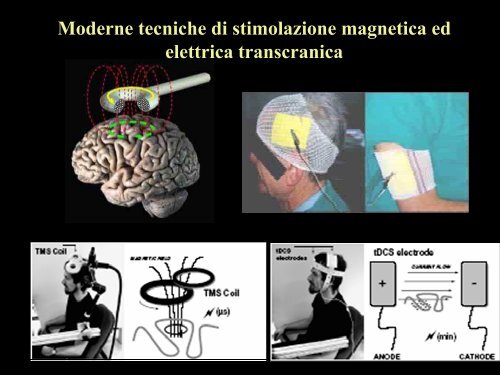 L'incanto del cervello e l'enigma della mente - E. Medea