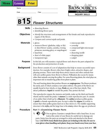 Flower dissection - Biology for Life