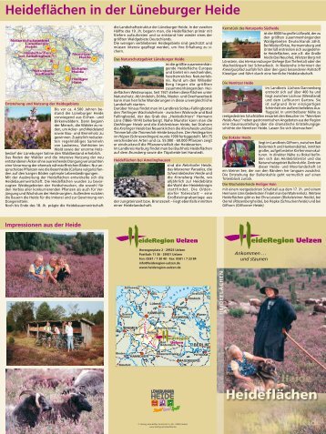 Heideflächen-Prospekt (pdf 1,95 MB) - Uelzen