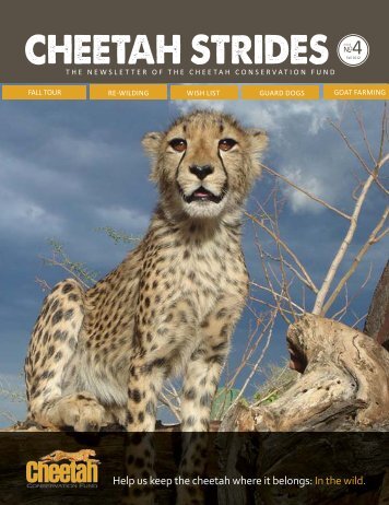 Issue No. 4 - September 2012 - Cheetah Conservation Fund