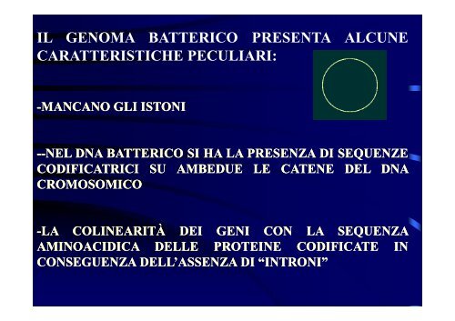 2 STRUTTURA CELLULA BATTERICA [modalità ... - Accento Sulla D