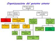 Genomica Lez.3.pdf - Dipartimento di Biologia