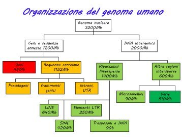 Genomica Lez.3.pdf - Dipartimento di Biologia