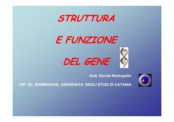 STRUTTURA E FUNZIONE DEL GENE - Bgbunict.it