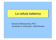3 MEDICINA cellula batterica - struttura & funzioni.pdf - Ch.unich.it
