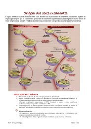 Hipótese Autogenica vs Endossimbiotica_resumo