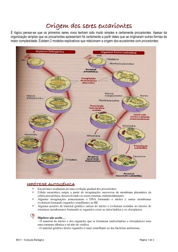 Hipótese Autogenica vs Endossimbiotica_resumo