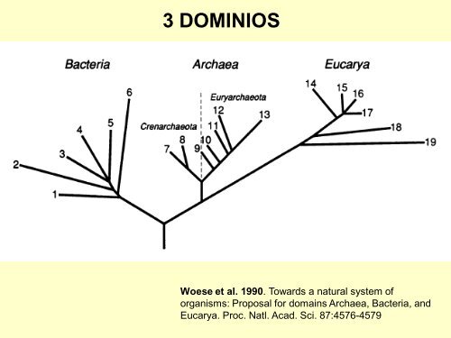 Introducción – Teoría endosimbiótica serial