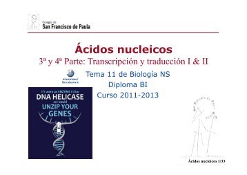 GTP_T11. Ácidos nucleicos - Ciencias con D. Germán