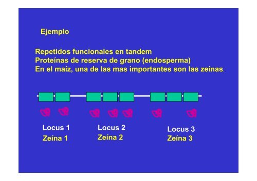 GENES Y GENOMA.pdf