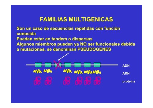 GENES Y GENOMA.pdf