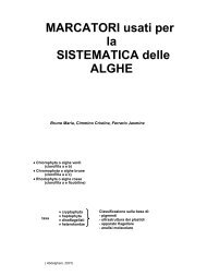 marker genetici per le alghe